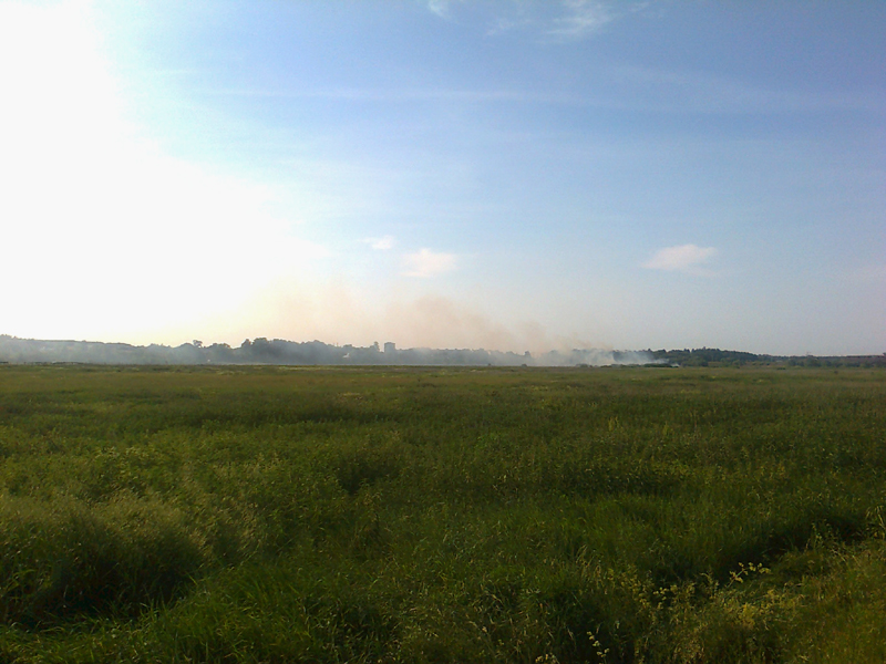 Ірпінь – в диму, пожежники – у Василькові
