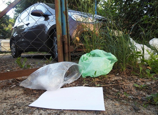 Депутатка з авоською прийшла на сесію – міськрада обмежила використання пластикових пакетів 