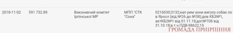 Майже два мільйони «списали» з бюджету чиновники на неіснуючу «зону вигулу собак» 
