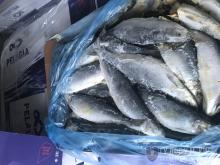 Фіскали вилучили 20 тонн свіжомороженої риби загальною вартістю 1,4 мільйона 