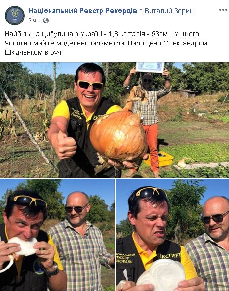 Вага 1,8 кг, в обхваті 53 см – найбільшу цибулину вирощено в Бучі! (+ фото) 