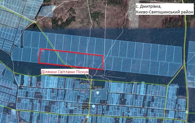 Суд повернув державі 7 гектарів землі під Києвом, незаконно привласнених дружиною колишнього Генпрокурора