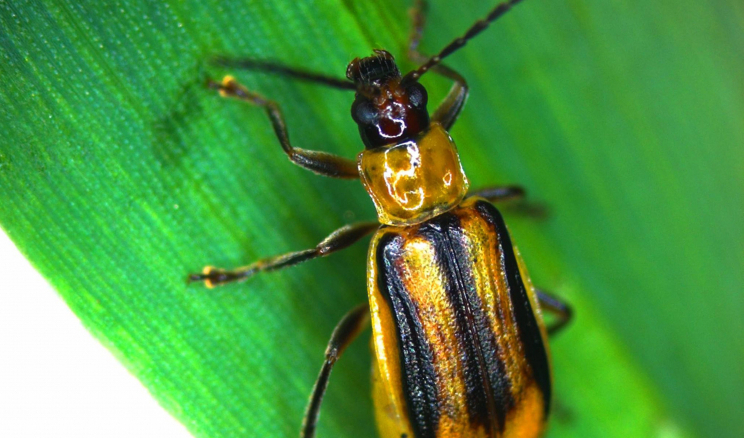 Приватна станція моніторингу повітря дозволить онлайн контролювати стан довкілля 