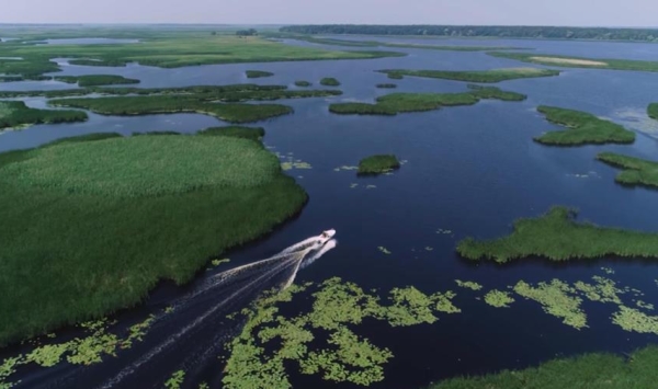 Суд повернув державі землю водного фонду ринковою вартістю 33 мільйони грн 