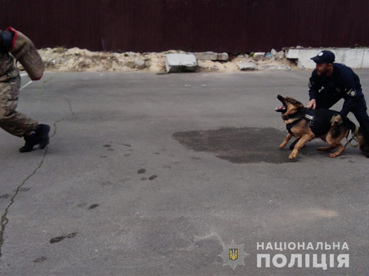 Діти побачили, як поліцейські собаки шукають небезпечні речовини та беруть слід (+ фото)