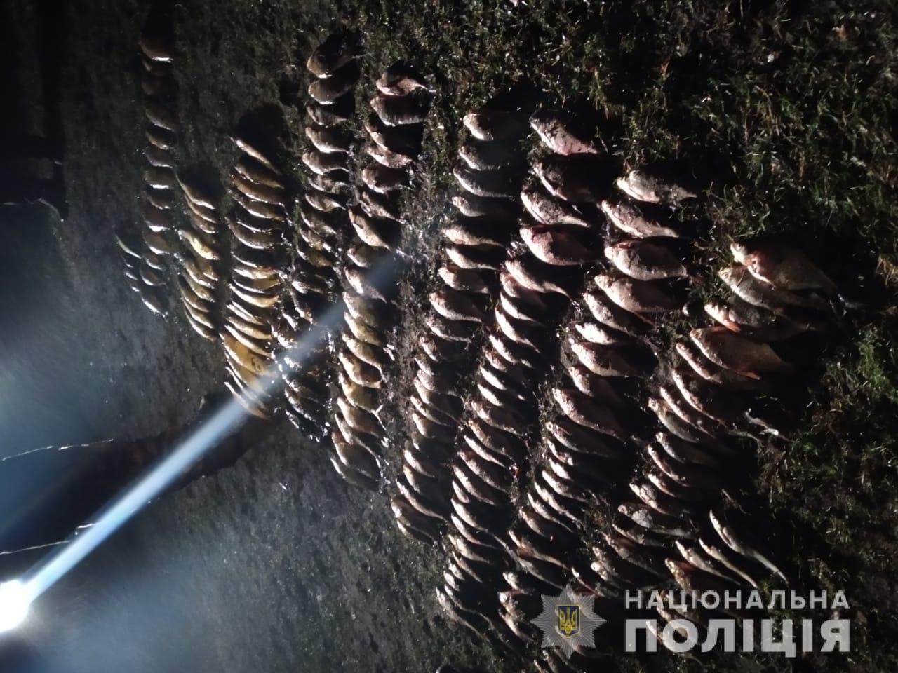 Браконьєри в Прип’яті ловили рибу з радіацією (+ фото)