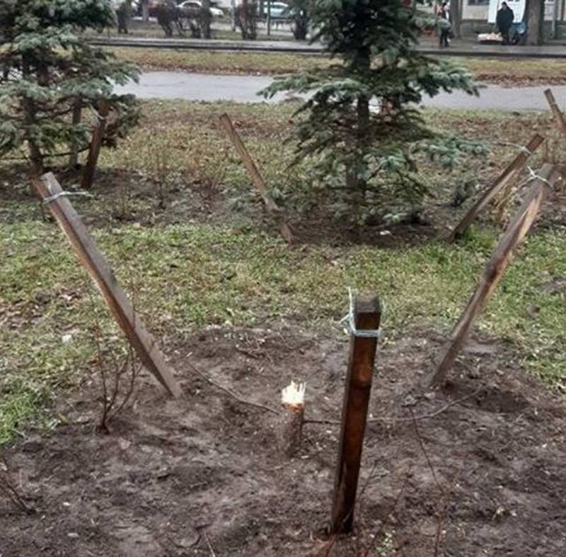 Передноворічний вандалізм: посеред міста спиляли блакитну ялинку 