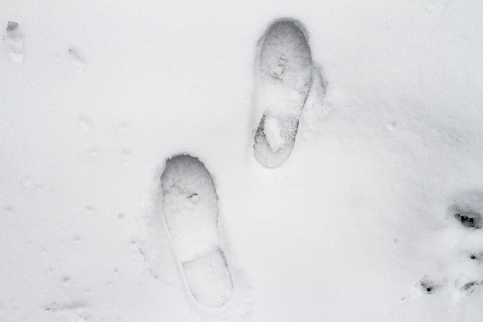 Прогноз на завтра: випаде сніг, на дорогах стане слизько 