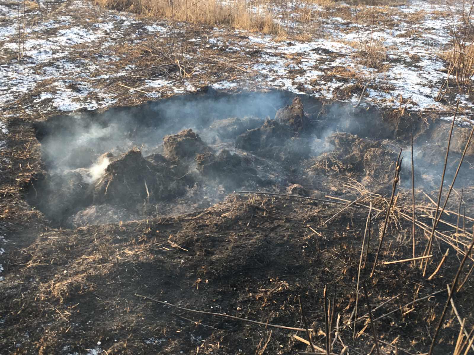 У заплаві Ірпінь-річки знову горів торф 