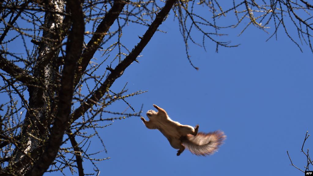 Теплові рекорди: вперше за 139 років температура в грудні перевищила +15 градусів 
