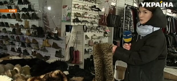 Хутро із… котів продавали на ринку 