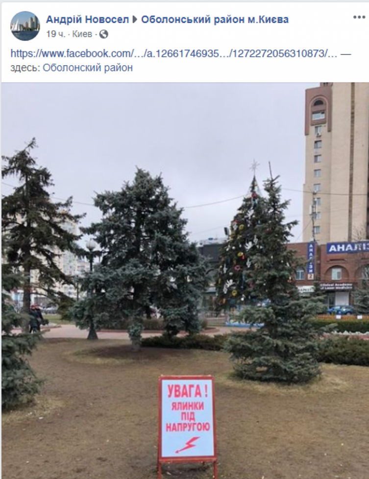 «Ялинки під напругою»: винайдено новий метод боротьби з вандалами 