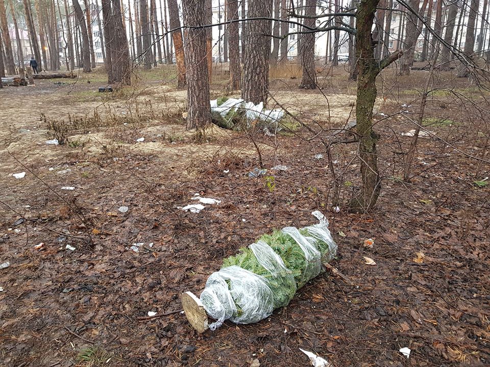 Проблеми утилізації новорічних ялинок  Або Комунальники мають полегшувати життя людям чи люди комунальникам? 