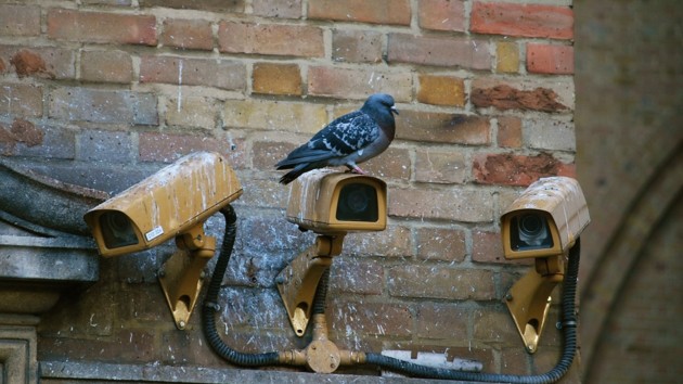 «Розумні» камери спостереження на вулицях навчилися розпізнавати людей