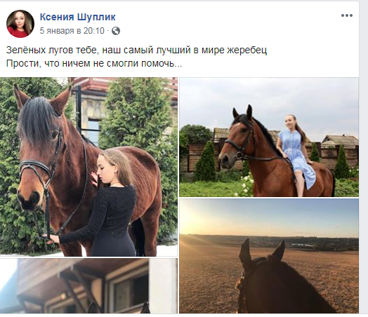 На тваринний концтабір перетворився заміський комплекс горе-забудовника (+ фото, відео)