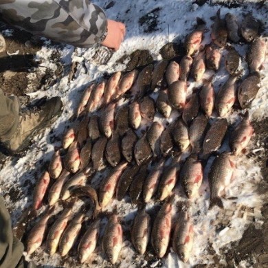 Браконьєрство-2019: вилучено 7,5 тонн риби, накладено 418 тисяч штрафів, завдано 1 мільйон 375 тисяч збитків