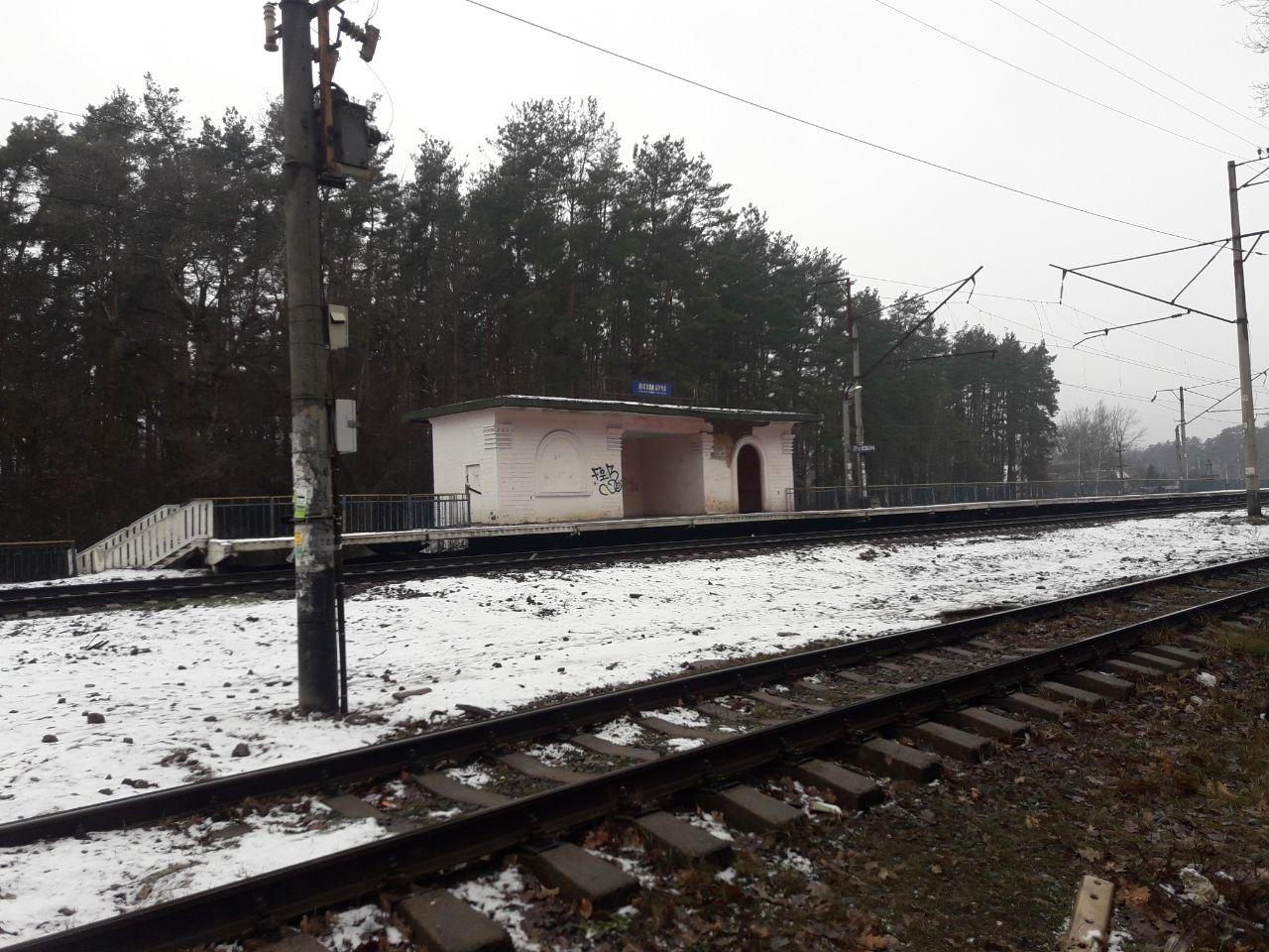 Випадкові перехожі натрапили на тіло жінки, яку збив електропоїзд 