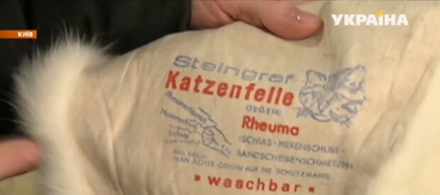 Хутро із… котів продавали на ринку 