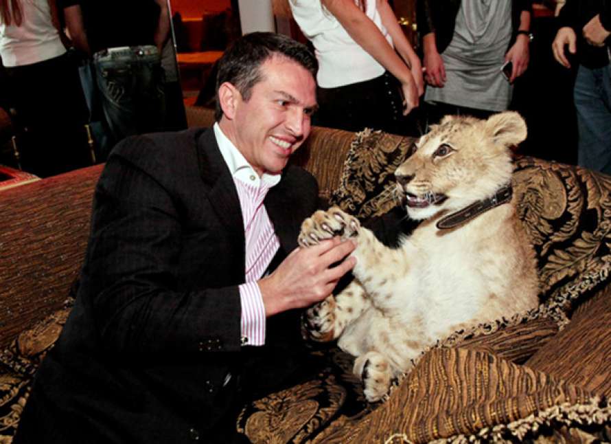 Стало відоме ім’я власника та подальша доля шістьох залишених тигрів