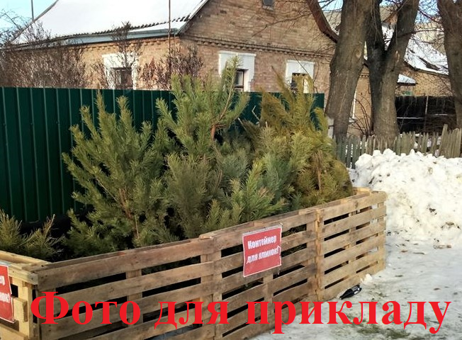 Проблеми утилізації новорічних ялинок  Або Комунальники мають полегшувати життя людям чи люди комунальникам? 