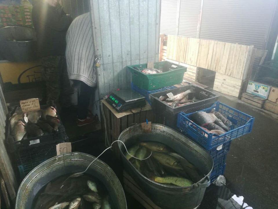 На ринках Приірпіння вилучають незаконно виловлену рибу 