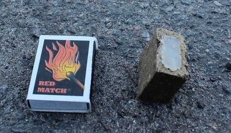 У лісах та полях розкидатимуть вакцину проти сказу тварин