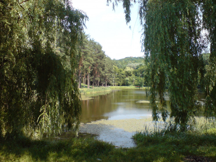 Коцюбинське захоплює територію природнього парку «Голосіївський» 