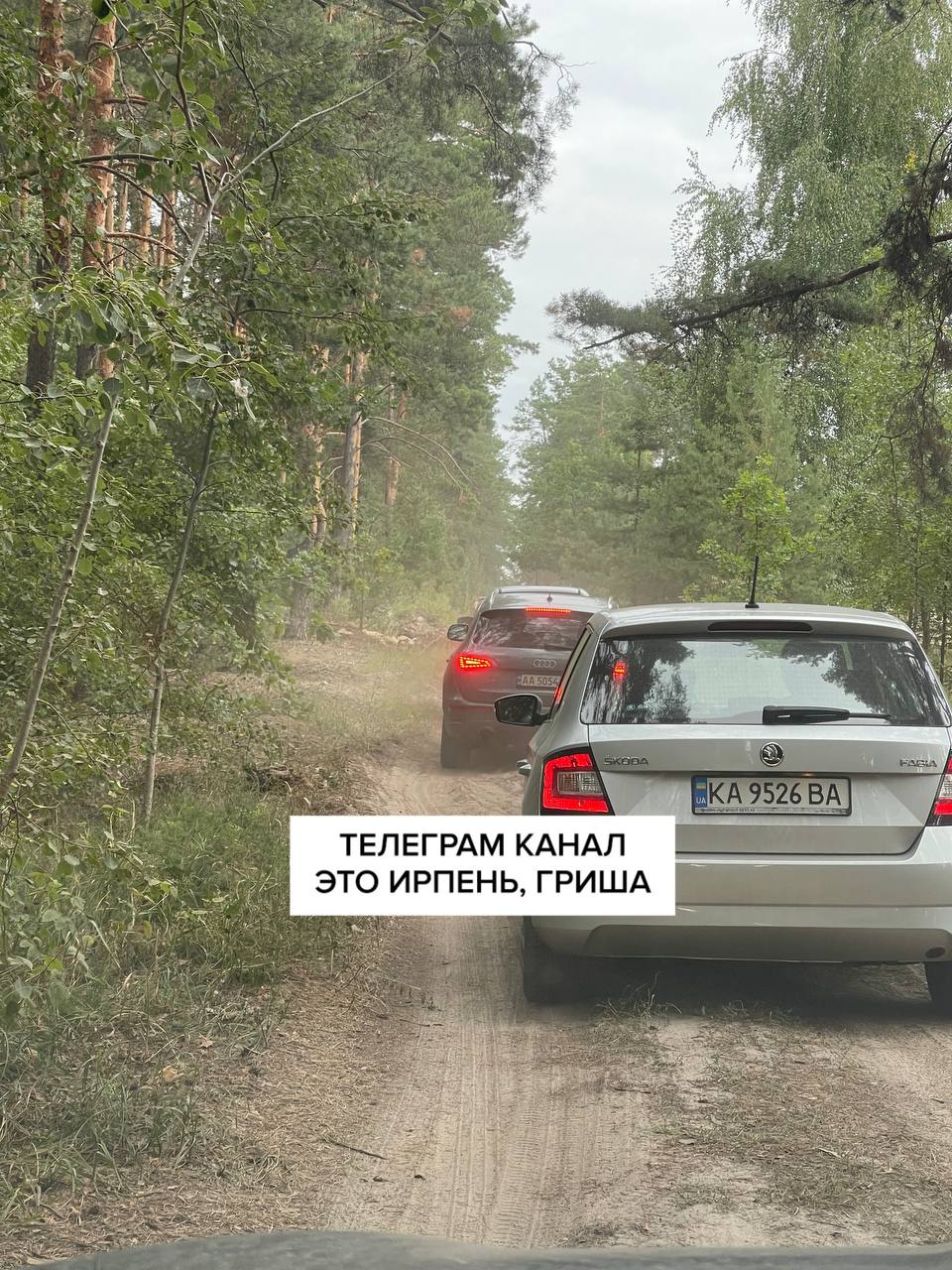 Автомобілісти минають затори замінованим лісом, в якому їх зупиняє поліції (+ фото, відео)