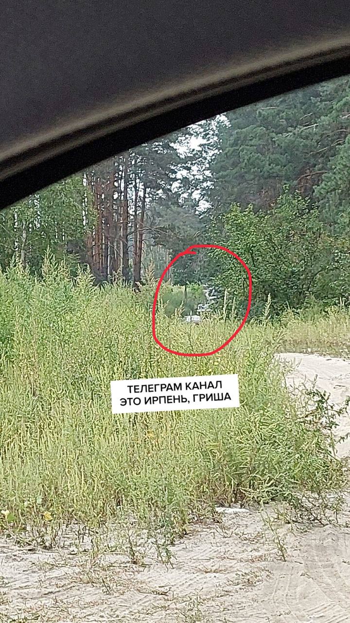 Автомобілісти минають затори замінованим лісом, в якому їх зупиняє поліції (+ фото, відео)