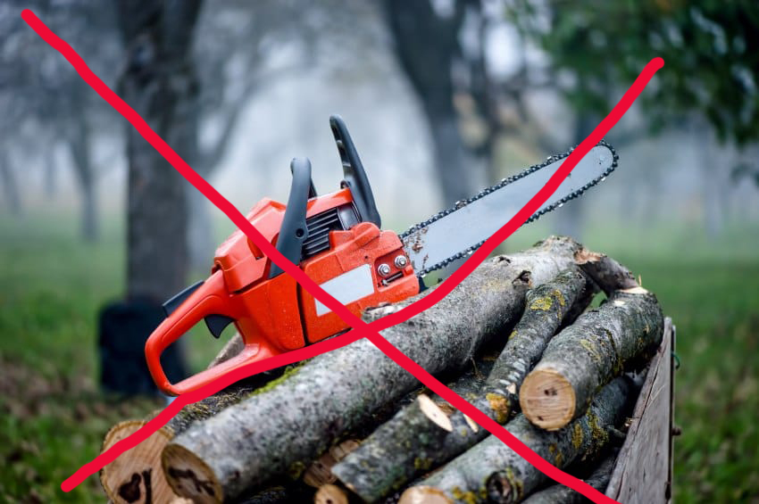 Аби не плутати з «шахідами» заборонили мопеди, пилки і косарки