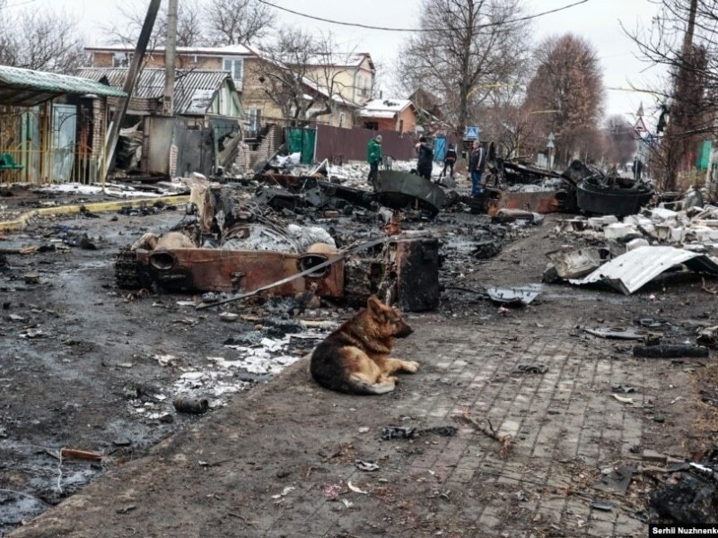 Громада Бучанського району вимагає відшкодування окупаційних збитків із коштів від продажу майна рФ 