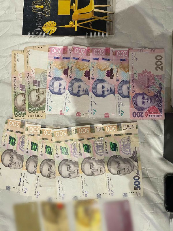 80 людей «нагріли» на дровах: жертви дров’яних аферистів можуть звертатися до поліції 