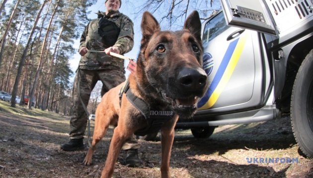 55 собак служать у поліції Київщини (+ фото, відео) 