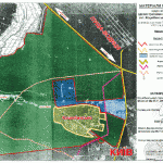 Суд повернув державі 109 га Біличанського лісу