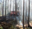 ГОРИТЬ ГОСТОМЕЛЬСКИЙ ЛІС (+ФОТО)