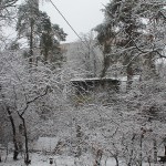 Почалася зима в Ірпені (ФОТО)