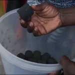 Вугілля з фекалій: енергонезалежність+екологічність