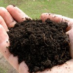 80-річний тернополянин розробив бізнес-план переробки відходів у гумус і продав його американцю