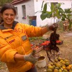 Як хлопець та дівчина зі столиці організували у селі еко-виробницво овочів та фруктів