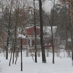 До Ірпеня прийшла справжня зима (фоторепортаж)