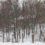 До Ірпеня прийшла справжня зима (фоторепортаж)