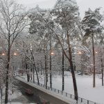 Ірпінська Громада протидіє Генплану знищення міста