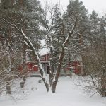 До Ірпеня прийшла справжня зима (фоторепортаж)