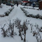 До Ірпеня прийшла справжня зима (фоторепортаж)