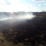 Знову горить заплава Ірпінь-річки (+ фото)