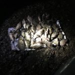 7 кілометрів браконьєрських сіток, 212 кілограмів риби та 6 човнів вилучено рибоохоронцями (+ фото)