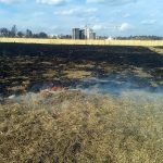 Знову горить заплава Ірпінь-річки (+ фото)