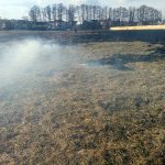 Знову горить заплава Ірпінь-річки (+ фото)