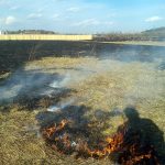 Знову горить заплава Ірпінь-річки (+ фото)