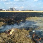 Знову горить заплава Ірпінь-річки (+ фото)